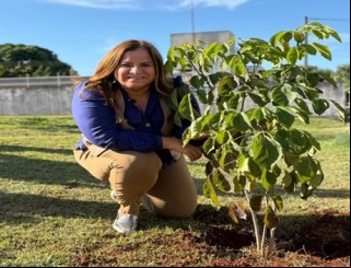 Prefeitura de Brasilândia celebra Dia Mundial do Meio Ambiente com plantio simbólico e anuncia avanços na gestão ambiental