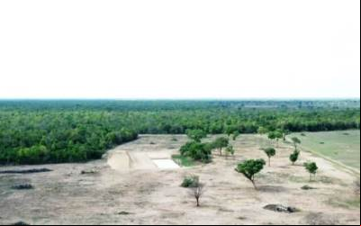 Mato Grosso do Sul mantém celeridade e está perto de concluir análise dinamizada do CAR