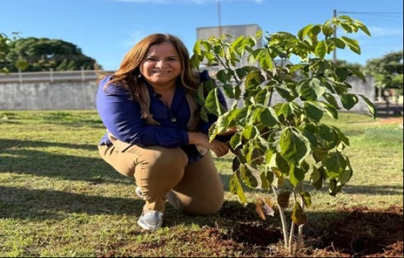 Prefeitura de Brasilândia celebra Dia Mundial do Meio Ambiente com plantio simbólico e anuncia avanços na gestão ambiental
